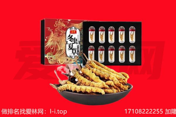 安庆岳西县回收虫草.jpg